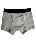 Boxer Basic Gris NTF